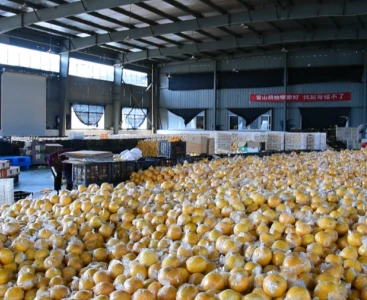 順豐快遞給手動(dòng)液壓搬運(yùn)車消毒，保障生鮮瓜果食品安全